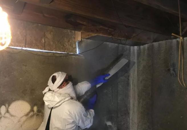 蜜柚APP官方下载机