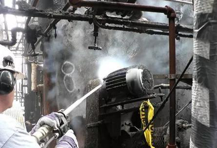 蜜柚APP官方下载机